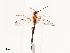  ( - CBG-B12221-B02)  @11 [ ] CreativeCommons - Attribution Share - Alike (2025) CBG Photography Group Centre for Biodiversity Genomics