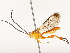  ( - CBG-B19076-G04)  @11 [ ] CreativeCommons - Attribution Share - Alike (2025) CBG Photography Group Centre for Biodiversity Genomics
