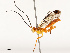  ( - CBG-B19080-E07)  @11 [ ] CreativeCommons - Attribution Share - Alike (2025) CBG Photography Group Centre for Biodiversity Genomics