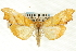  ( - CNCLEP00088987)  @11 [ ] CreativeCommons - Attribution Non-Commercial Share-Alike (2011) Jean-Francois Landry, CNC and Zhaofu Yang, BIO Canadian National Collections