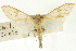  ( - CNCLEP00089537)  @11 [ ] CreativeCommons - Attribution Non-Commercial Share-Alike (2011) Jean-Francois Landry, CNC and Zhaofu Yang, BIO Canadian National Collections