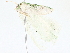  ( - BIOUG62729-A07)  @12 [ ] CreativeCommons - Attribution (2022) CBG Photography Group Centre for Biodiversity Genomics