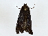  ( - BIOUG62732-F08)  @11 [ ] CreativeCommons - Attribution (2022) CBG Photography Group Centre for Biodiversity Genomics
