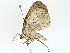  ( - BIOUG62732-G04)  @11 [ ] CreativeCommons - Attribution (2022) CBG Photography Group Centre for Biodiversity Genomics