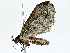  ( - BIOUG62732-G05)  @11 [ ] CreativeCommons - Attribution (2022) CBG Photography Group Centre for Biodiversity Genomics