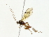  ( - BIOUG70301-B07)  @11 [ ] CreativeCommons - Attribution (2022) CBG Photography Group Centre for Biodiversity Genomics