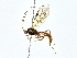  ( - BIOUG70301-B08)  @11 [ ] CreativeCommons - Attribution (2022) CBG Photography Group Centre for Biodiversity Genomics