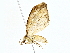 ( - BIOUG70301-D05)  @11 [ ] CreativeCommons - Attribution (2022) CBG Photography Group Centre for Biodiversity Genomics