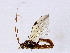  ( - BIOUG72940-E01)  @11 [ ] CreativeCommons - Attribution (2022) CBG Photography Group Centre for Biodiversity Genomics