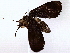  ( - BIOUG72940-E04)  @11 [ ] CreativeCommons - Attribution (2022) CBG Photography Group Centre for Biodiversity Genomics
