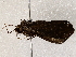  ( - BIOUG72941-B01)  @11 [ ] CreativeCommons - Attribution (2022) CBG Photography Group Centre for Biodiversity Genomics