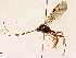  ( - BIOUG72941-B11)  @11 [ ] CreativeCommons - Attribution (2022) CBG Photography Group Centre for Biodiversity Genomics