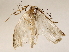  ( - BIOUG72941-C02)  @11 [ ] CreativeCommons - Attribution (2022) CBG Photography Group Centre for Biodiversity Genomics