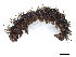  ( - BIOUG72941-H04)  @11 [ ] CreativeCommons - Attribution (2022) CBG Photography Group Centre for Biodiversity Genomics