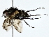  ( - BIOUG76536-A03)  @11 [ ] CreativeCommons - Attribution (2022) CBG Photography Group Centre for Biodiversity Genomics