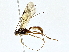  ( - BIOUG76537-G07)  @11 [ ] CreativeCommons - Attribution (2022) CBG Photography Group Centre for Biodiversity Genomics
