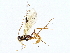  ( - BIOUG76539-C07)  @11 [ ] CreativeCommons - Attribution (2022) CBG Photography Group Centre for Biodiversity Genomics