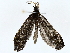  ( - BIOUG76540-B07)  @11 [ ] CreativeCommons - Attribution (2022) CBG Photography Group Centre for Biodiversity Genomics