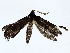  ( - BIOUG76540-B08)  @11 [ ] CreativeCommons - Attribution (2022) CBG Photography Group Centre for Biodiversity Genomics