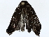  ( - BIOUG76540-B09)  @11 [ ] CreativeCommons - Attribution (2022) CBG Photography Group Centre for Biodiversity Genomics
