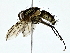  ( - BIOUG77711-A07)  @11 [ ] CreativeCommons - Attribution (2022) CBG Photography Group Centre for Biodiversity Genomics