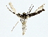  ( - BIOUG77711-C07)  @11 [ ] CreativeCommons - Attribution (2022) CBG Photography Group Centre for Biodiversity Genomics