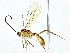  ( - BIOUG77711-E08)  @11 [ ] CreativeCommons - Attribution (2022) CBG Photography Group Centre for Biodiversity Genomics