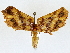  ( - BIOUG77711-E11)  @11 [ ] CreativeCommons - Attribution (2022) CBG Photography Group Centre for Biodiversity Genomics