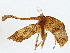  ( - BIOUG80133-A04)  @11 [ ] CreativeCommons - Attribution (2022) CBG Photography Group Centre for Biodiversity Genomics
