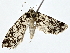  ( - BIOUG80133-E04)  @11 [ ] CreativeCommons - Attribution (2022) CBG Photography Group Centre for Biodiversity Genomics