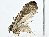  ( - BIOUG80133-E07)  @11 [ ] CreativeCommons - Attribution (2022) CBG Photography Group Centre for Biodiversity Genomics