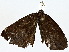 ( - BIOUG80703-E06)  @11 [ ] CreativeCommons - Attribution (2022) CBG Photography Group Centre for Biodiversity Genomics