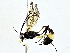  ( - BIOUG80704-A01)  @11 [ ] CreativeCommons - Attribution (2022) CBG Photography Group Centre for Biodiversity Genomics