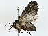  ( - BIOUG80704-B07)  @11 [ ] CreativeCommons - Attribution (2022) CBG Photography Group Centre for Biodiversity Genomics