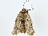  ( - BIOUG80704-B12)  @13 [ ] CreativeCommons - Attribution (2022) CBG Photography Group Centre for Biodiversity Genomics