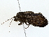  ( - BIOUG80704-C01)  @11 [ ] CreativeCommons - Attribution (2022) CBG Photography Group Centre for Biodiversity Genomics