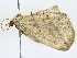  ( - BIOUG80704-C11)  @11 [ ] CreativeCommons - Attribution (2022) CBG Photography Group Centre for Biodiversity Genomics