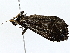  ( - BIOUG80704-D06)  @11 [ ] CreativeCommons - Attribution (2022) CBG Photography Group Centre for Biodiversity Genomics