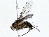  ( - BIOUG80704-F03)  @11 [ ] CreativeCommons - Attribution (2022) CBG Photography Group Centre for Biodiversity Genomics