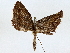  ( - BIOUG80704-F08)  @11 [ ] CreativeCommons - Attribution (2022) CBG Photography Group Centre for Biodiversity Genomics