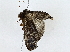  ( - BIOUG80704-F11)  @11 [ ] CreativeCommons - Attribution (2022) CBG Photography Group Centre for Biodiversity Genomics
