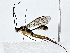  ( - BIOUG80704-G12)  @11 [ ] CreativeCommons - Attribution (2022) CBG Photography Group Centre for Biodiversity Genomics