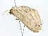  ( - BIOUG70301-F07)  @11 [ ] CreativeCommons - Attribution (2022) CBG Photography Group Centre for Biodiversity Genomics