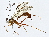  ( - BIOUG70302-C12)  @11 [ ] CreativeCommons - Attribution (2022) CBG Photography Group Centre for Biodiversity Genomics