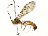  ( - BIOUG70302-D01)  @11 [ ] CreativeCommons - Attribution (2022) CBG Photography Group Centre for Biodiversity Genomics