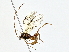  ( - BIOUG70302-D03)  @11 [ ] CreativeCommons - Attribution (2022) CBG Photography Group Centre for Biodiversity Genomics