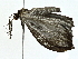  ( - BIOUG70303-A04)  @11 [ ] CreativeCommons - Attribution (2022) CBG Photography Group Centre for Biodiversity Genomics