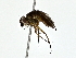  ( - BIOUG76534-A01)  @11 [ ] CreativeCommons - Attribution (2022) CBG Photography Group Centre for Biodiversity Genomics
