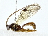  ( - BIOUG76534-D04)  @11 [ ] CreativeCommons - Attribution (2022) CBG Photography Group Centre for Biodiversity Genomics