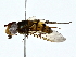  ( - BIOUG76535-C10)  @11 [ ] CreativeCommons - Attribution (2022) CBG Photography Group Centre for Biodiversity Genomics